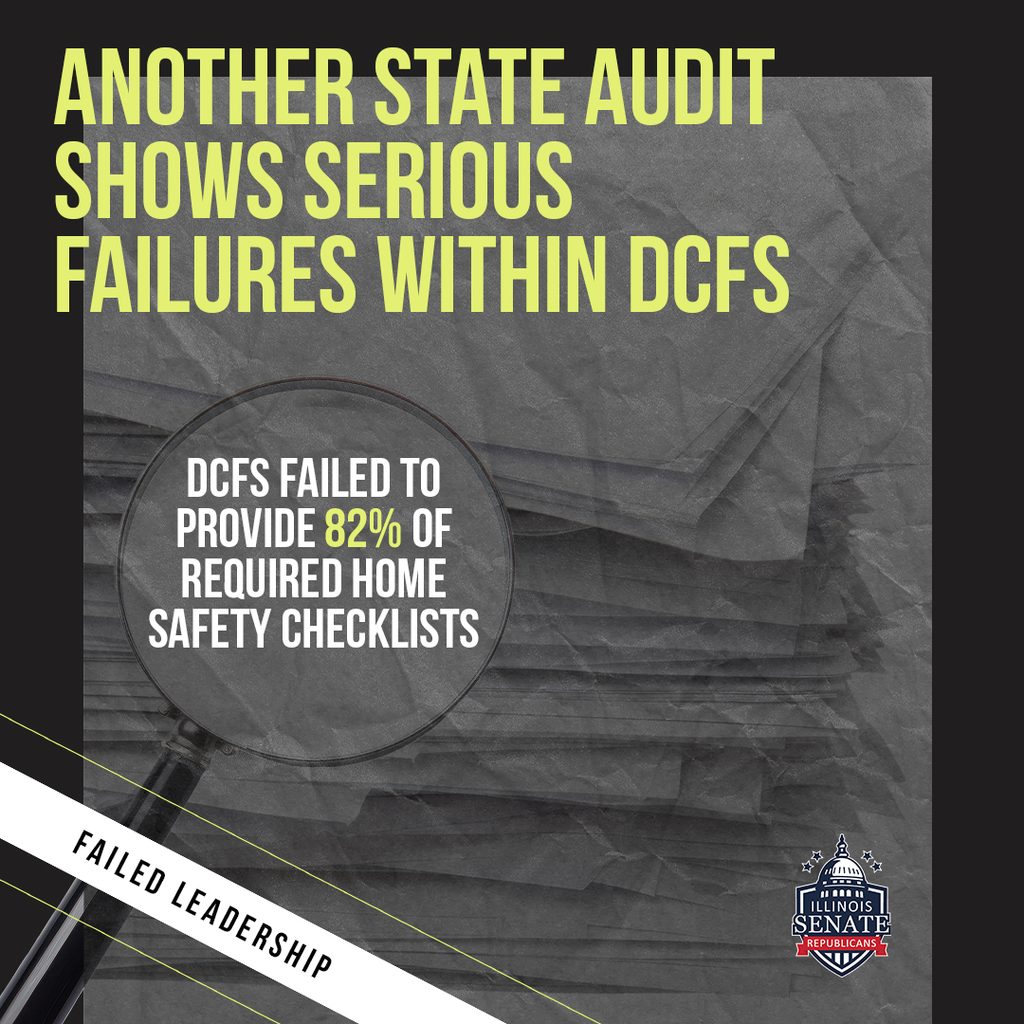 New DCFS Audit Raises Serious Concerns